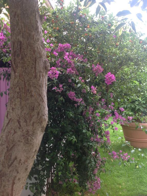 A Casa di LoLu Grottammare Exterior foto